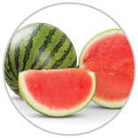 Watermelon 20
