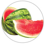 Watermelon 22