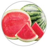 Watermelon 23