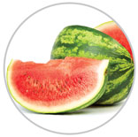 Watermelon 26