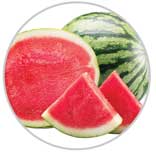 Watermelon 28