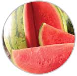 Watermelon 30