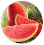 Watermelon 32