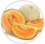 melon 30