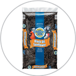 naturesOwnBirdFood