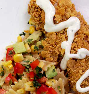 Vegy Vida Creamy Ranch Chicken