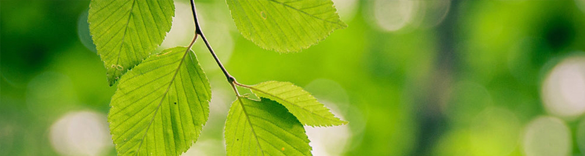 Marc s Customer Service Policies And Services Available Marc s Customer Service Policies And Services Available