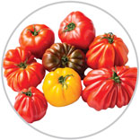 tomatoes 8