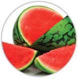 watermelon 31