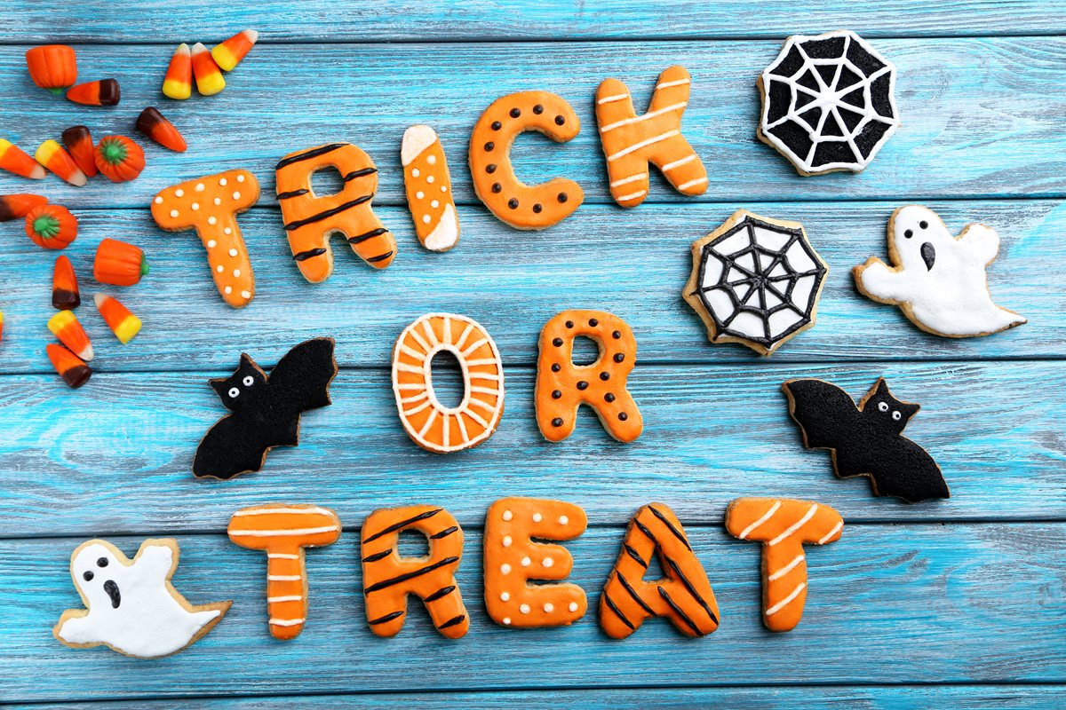 Forget the tricks, just bring the treats! 