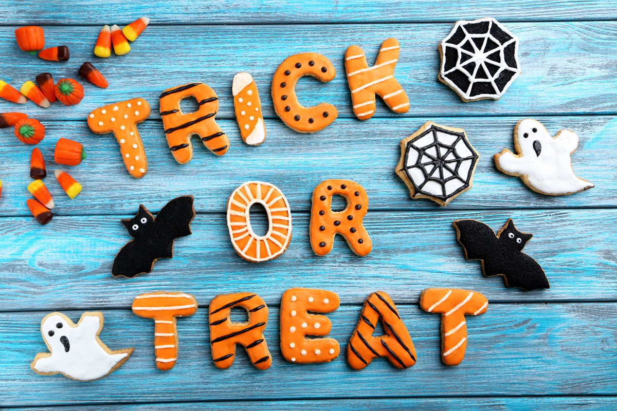 Forget the tricks, just bring the treats!