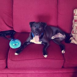 IMG 20180810 183130 331.jpg